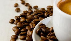 AVL - Coffee Shops