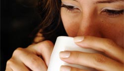 AVL - Coffee Shops