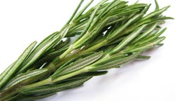 MovingCost.com - Essential Oils